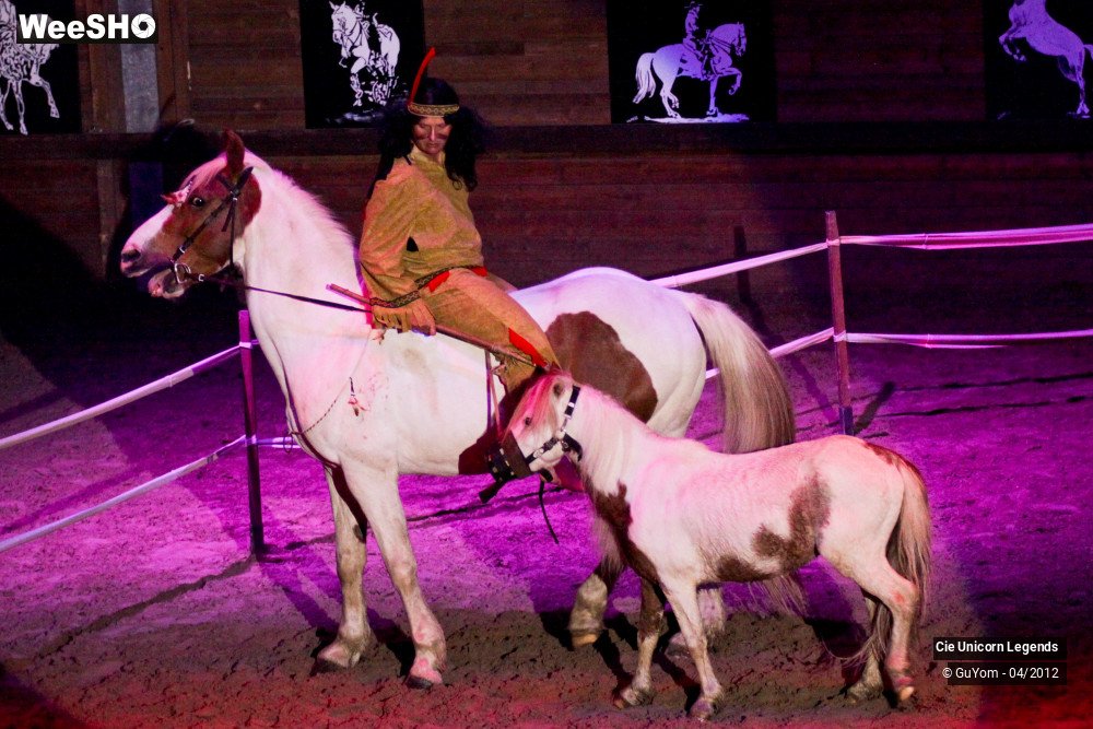 2/50 photos du spectacle Spectacle Equestre Confirmés