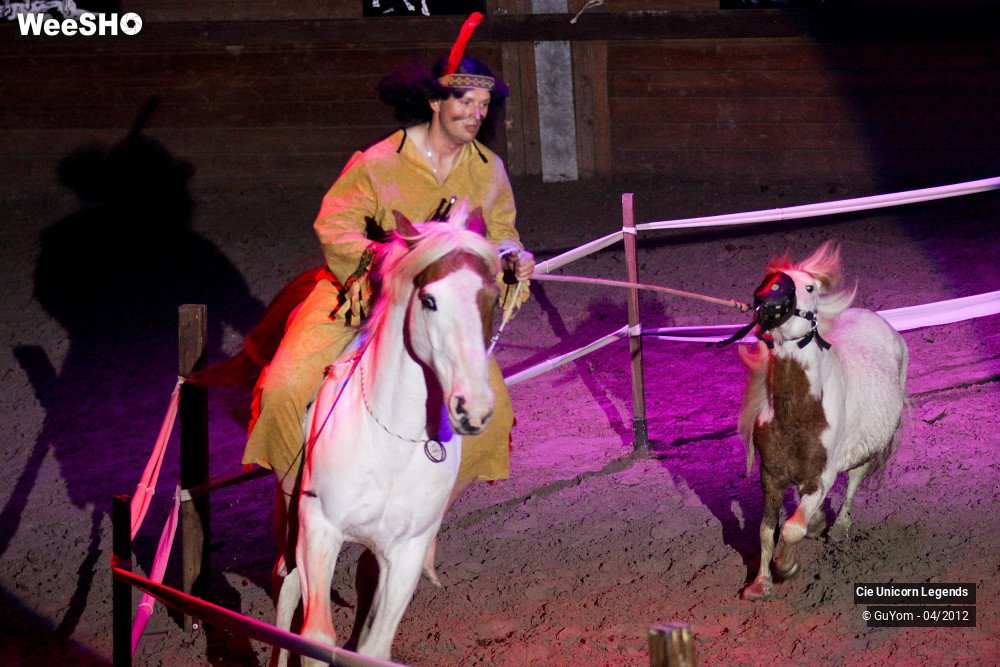 3/50 photos du spectacle Spectacle Equestre Confirmés