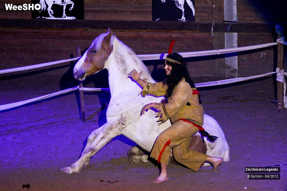 4/50 photos du spectacle Spectacle Equestre Confirmés