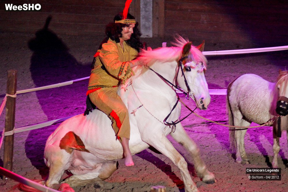 7/50 photos du spectacle Spectacle Equestre Confirmés