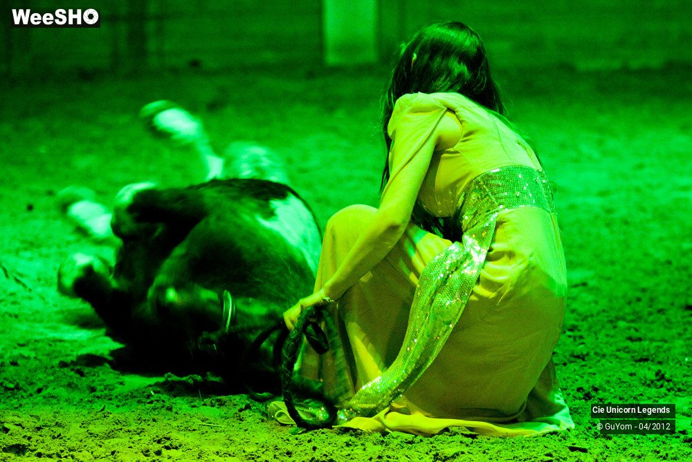 9/50 photos du spectacle Spectacle Equestre Confirmés