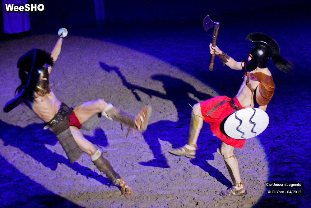 14/50 photos du spectacle Spectacle Equestre Confirmés