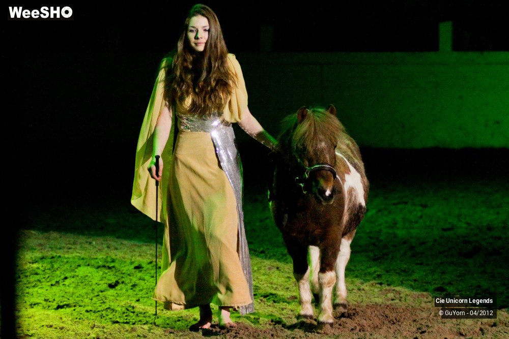 15/50 photos du spectacle Spectacle Equestre Confirmés