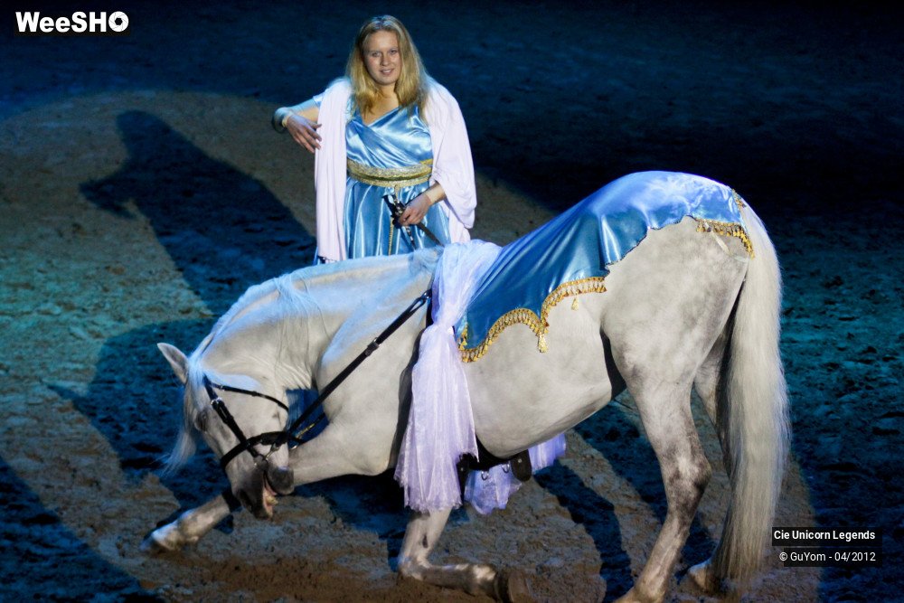 16/50 photos du spectacle Spectacle Equestre Confirmés