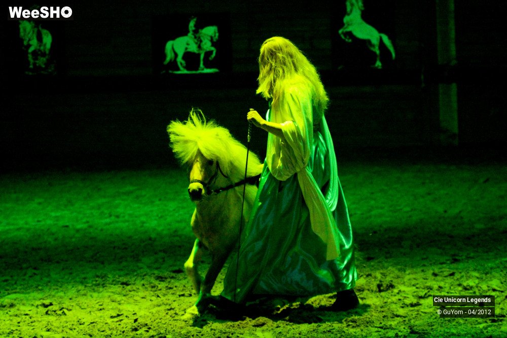 17/50 photos du spectacle Spectacle Equestre Confirmés