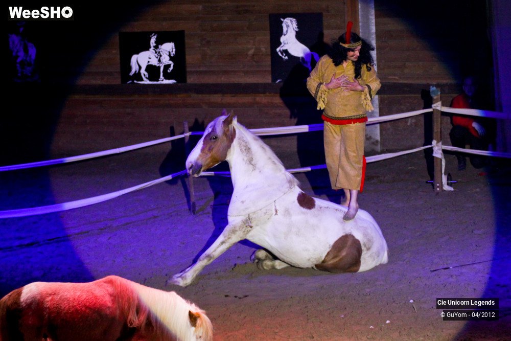 19/50 photos du spectacle Spectacle Equestre Confirmés