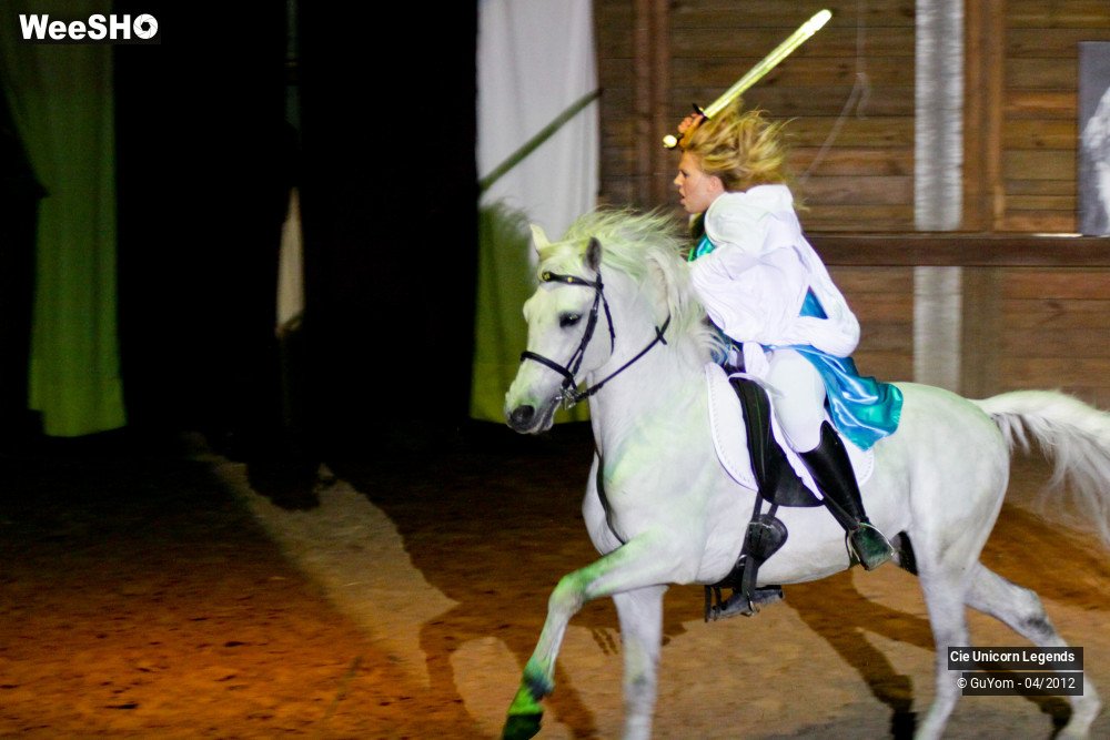 21/50 photos du spectacle Spectacle Equestre Confirmés
