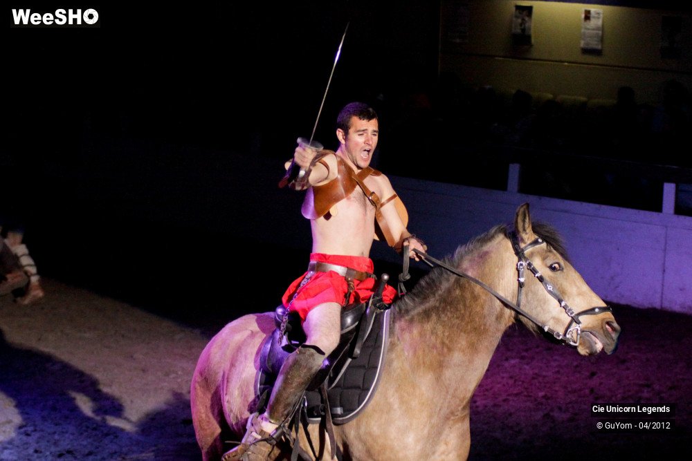 27/50 photos du spectacle Spectacle Equestre Confirmés