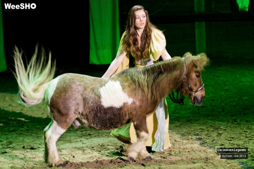 29/50 photos du spectacle Spectacle Equestre Confirmés