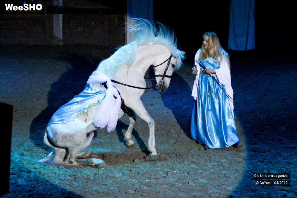 31/50 photos du spectacle Spectacle Equestre Confirmés