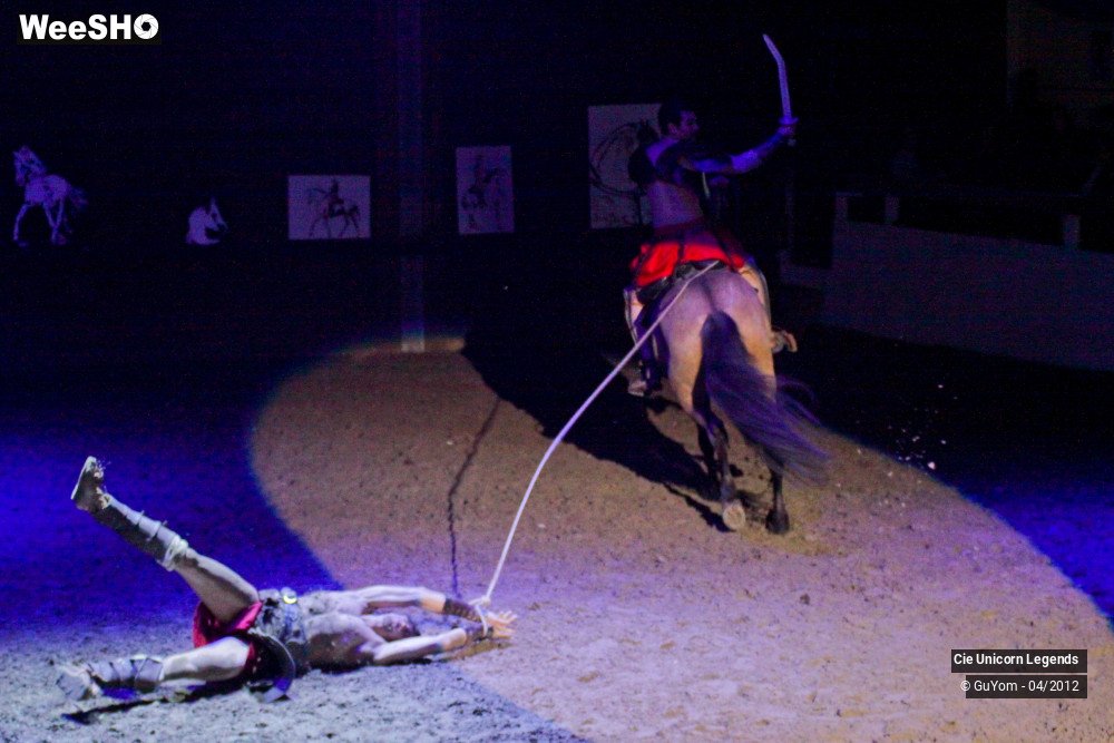 32/50 photos du spectacle Spectacle Equestre Confirmés