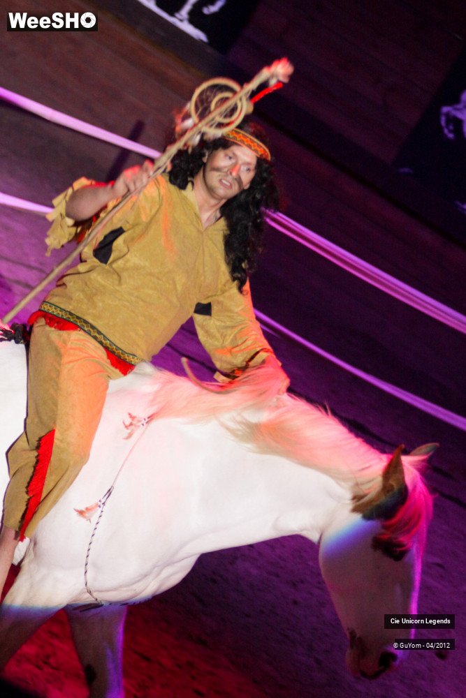 33/50 photos du spectacle Spectacle Equestre Confirmés