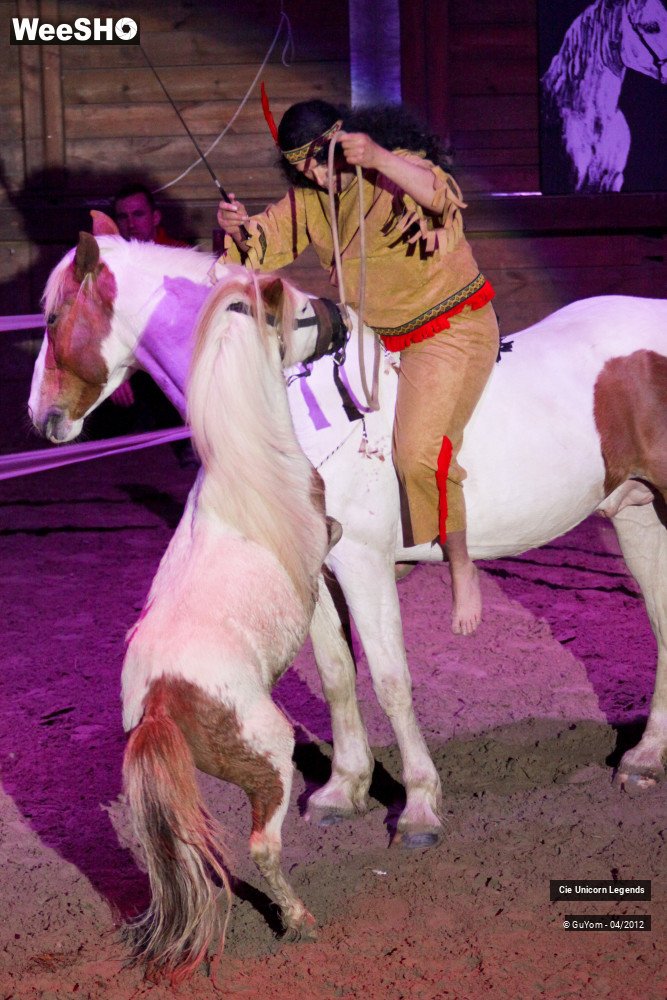 37/50 photos du spectacle Spectacle Equestre Confirmés