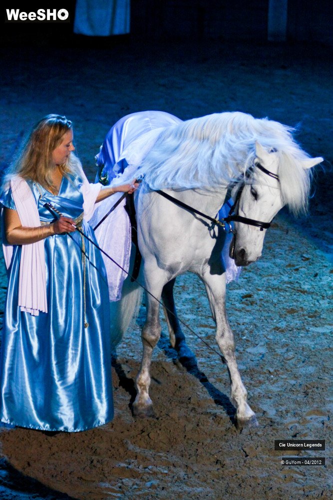 41/50 photos du spectacle Spectacle Equestre Confirmés