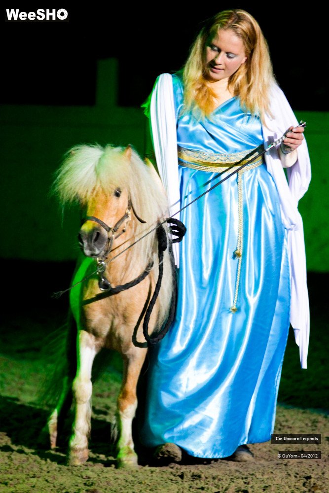 44/50 photos du spectacle Spectacle Equestre Confirmés