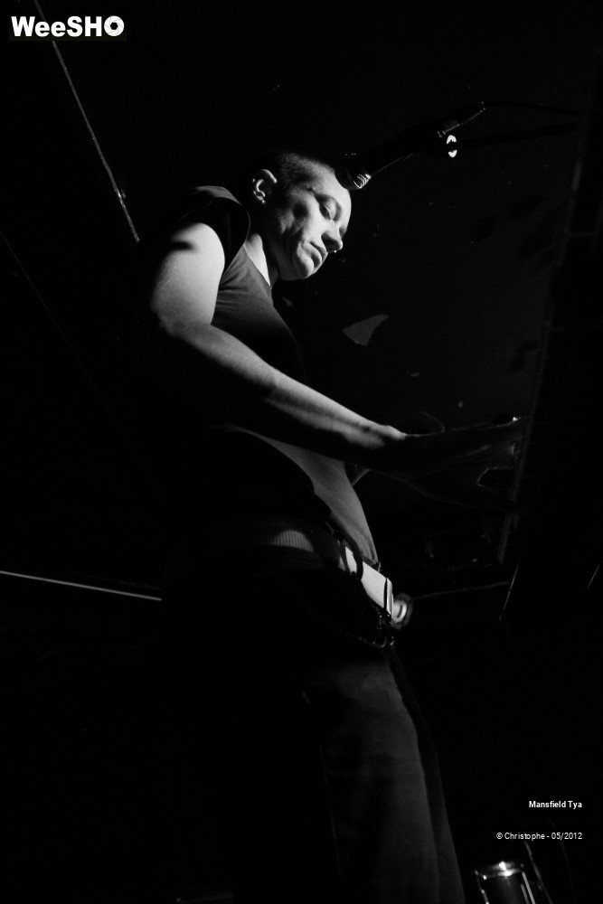 27/48 photos du spectacle Mansfield Tya