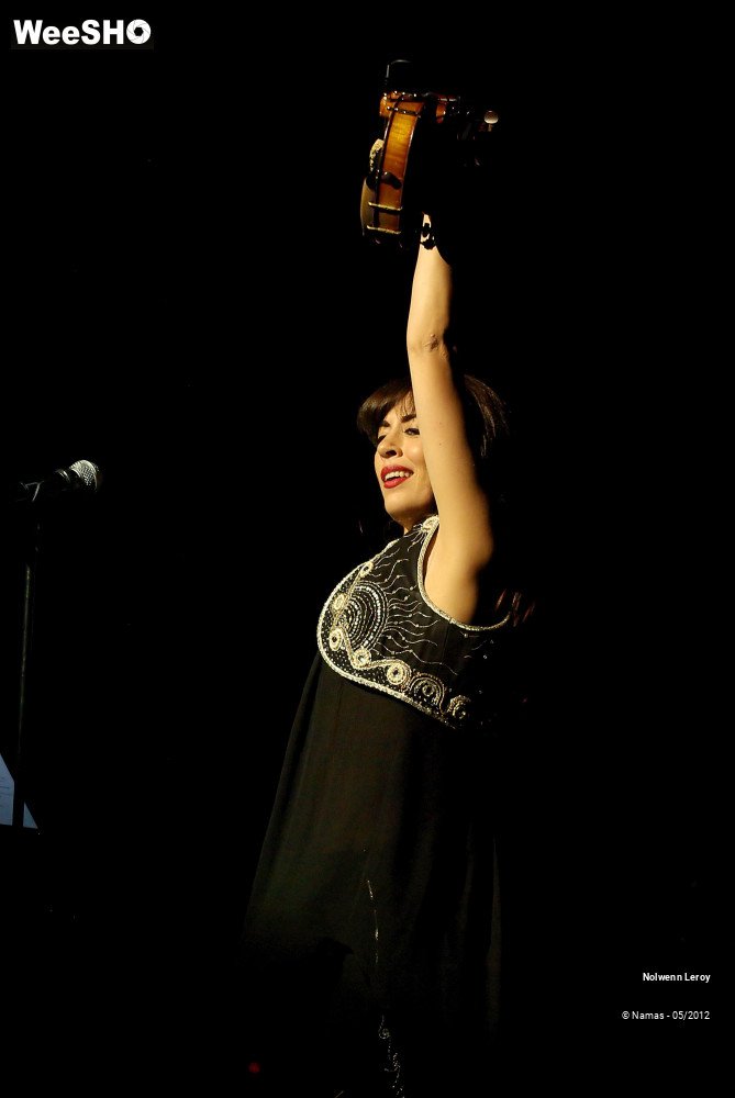 37/37 photos du spectacle Nolwenn Leroy