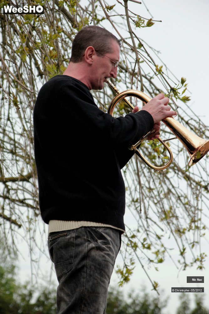 36/41 photos du spectacle Nic Nac