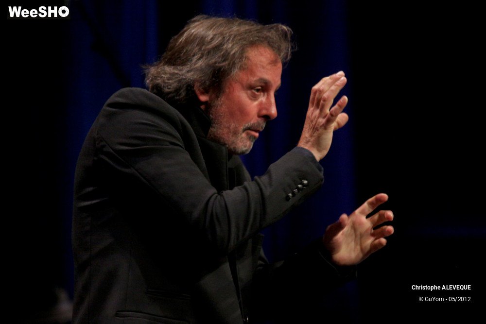 14/40 photos du spectacle Christophe ALEVEQUE