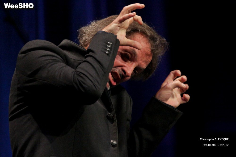 19/40 photos du spectacle Christophe ALEVEQUE