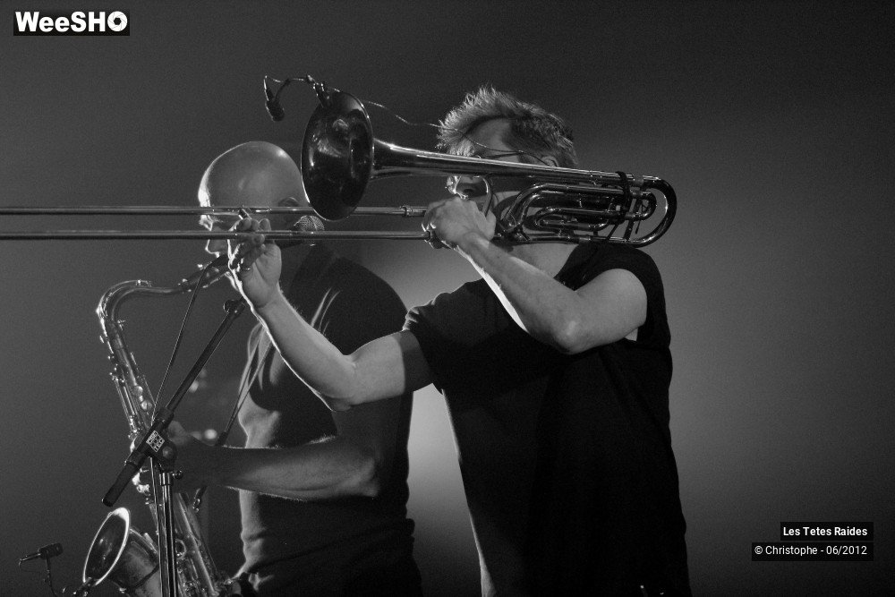 7/38 photos du spectacle les tetes raides