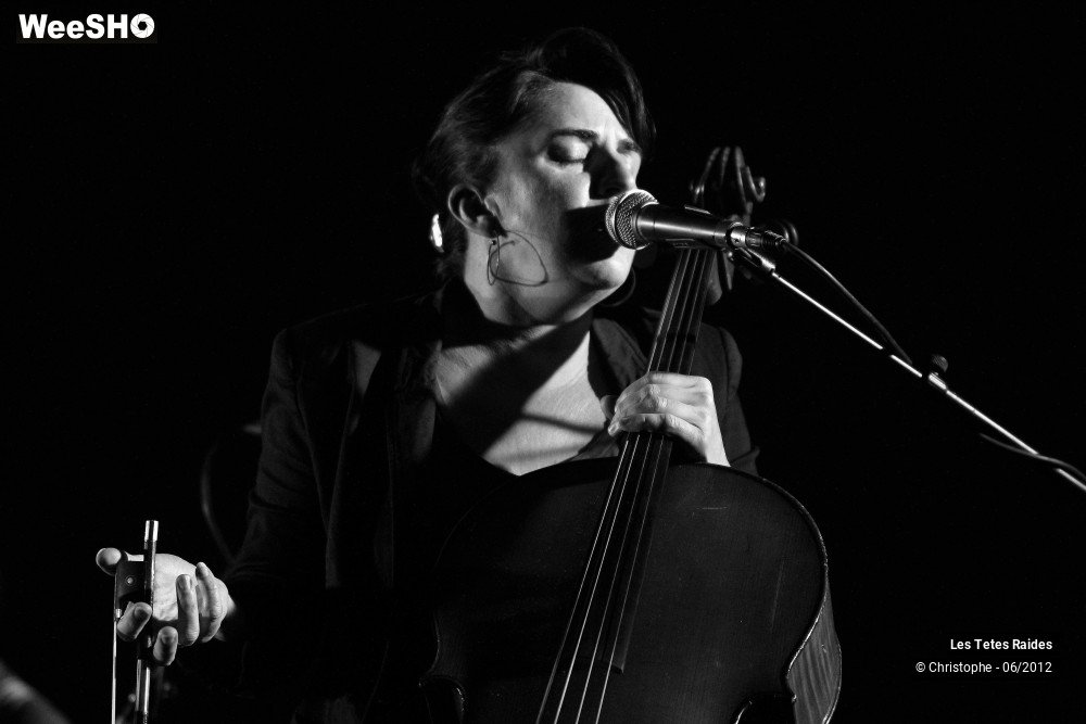 13/38 photos du spectacle les tetes raides