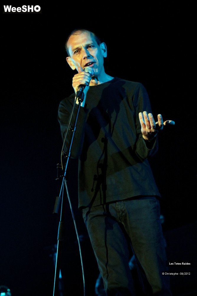 17/38 photos du spectacle les tetes raides