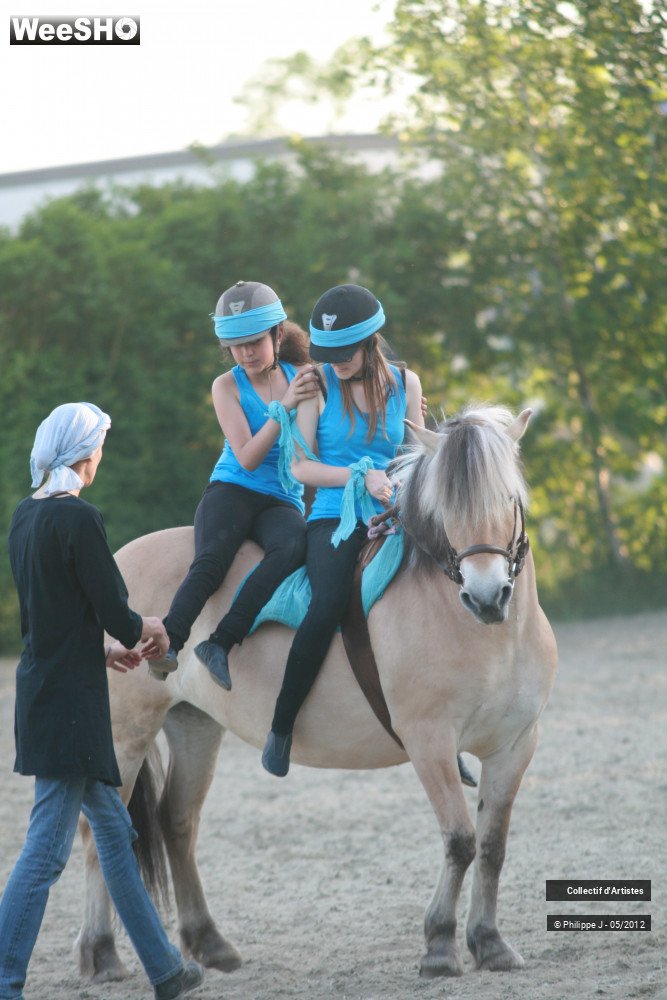 15/24 photos du spectacle Spectacle Equestre 2 Ambiance 2