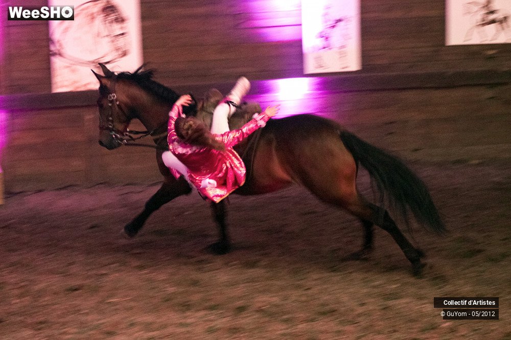 1/49 photos du spectacle Spectacle Equestre 2 Juniors