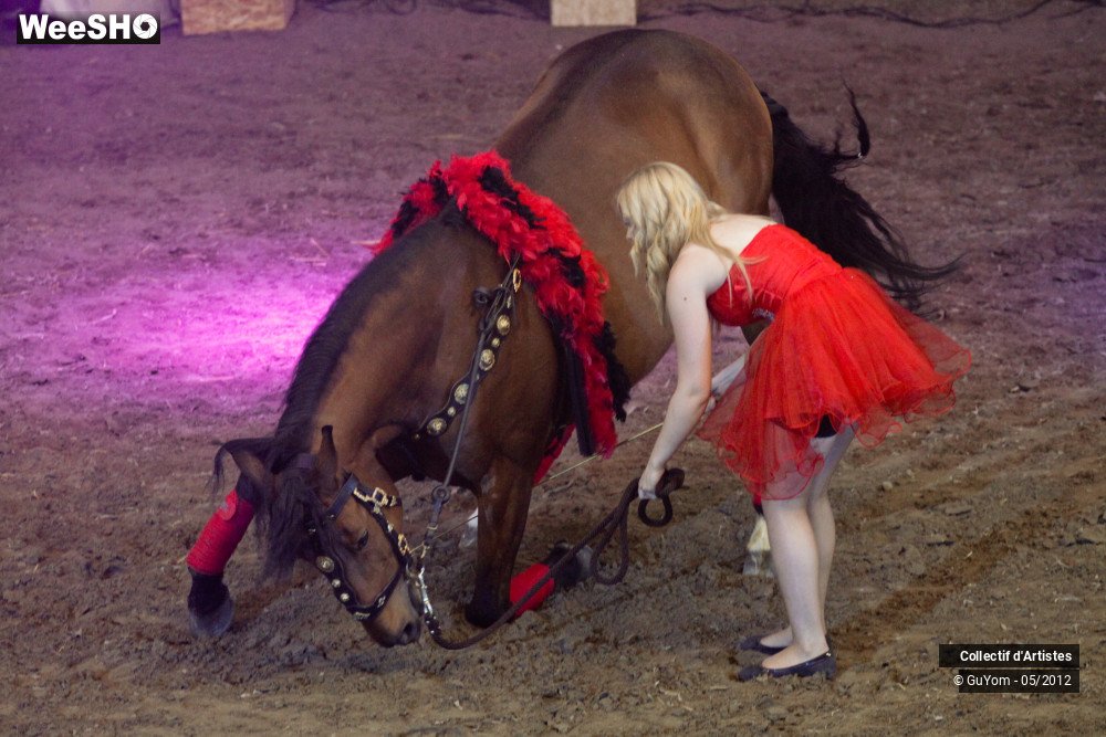 2/49 photos du spectacle Spectacle Equestre 2 Juniors