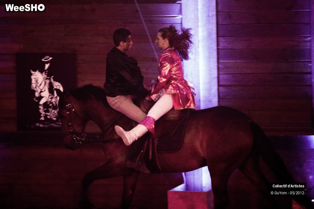 4/49 photos du spectacle Spectacle Equestre 2 Juniors
