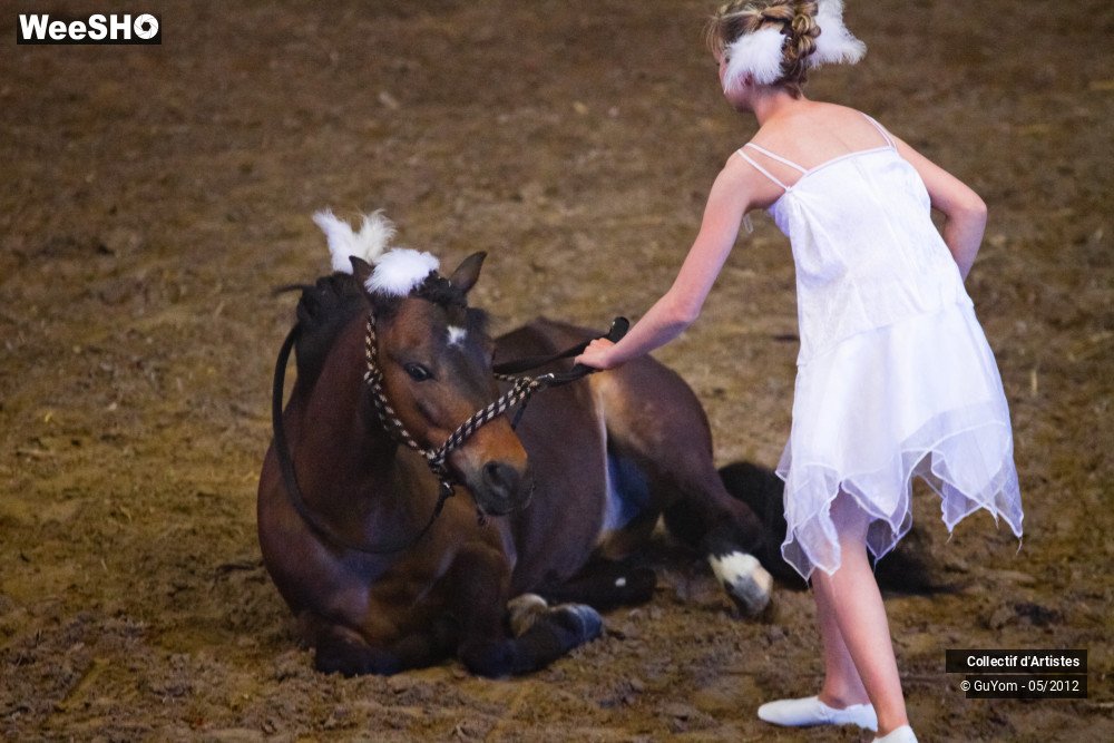 7/49 photos du spectacle Spectacle Equestre 2 Juniors