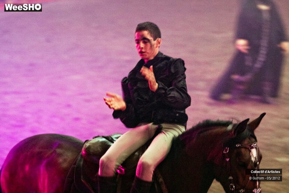 8/49 photos du spectacle Spectacle Equestre 2 Juniors