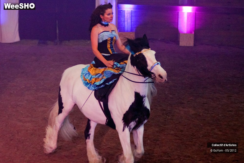 9/49 photos du spectacle Spectacle Equestre 2 Juniors