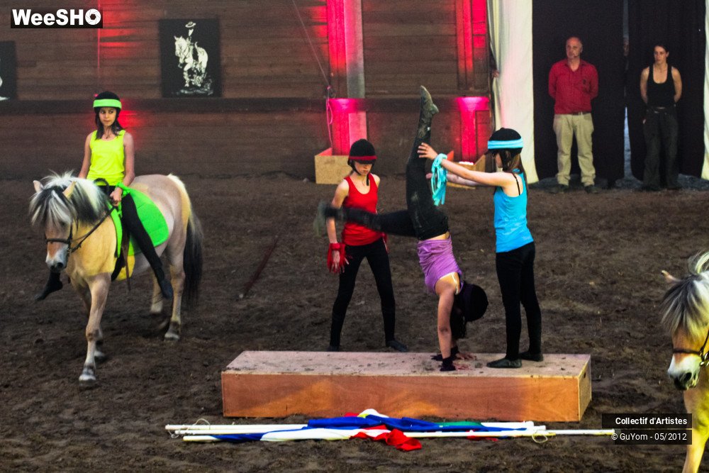 10/49 photos du spectacle Spectacle Equestre 2 Juniors