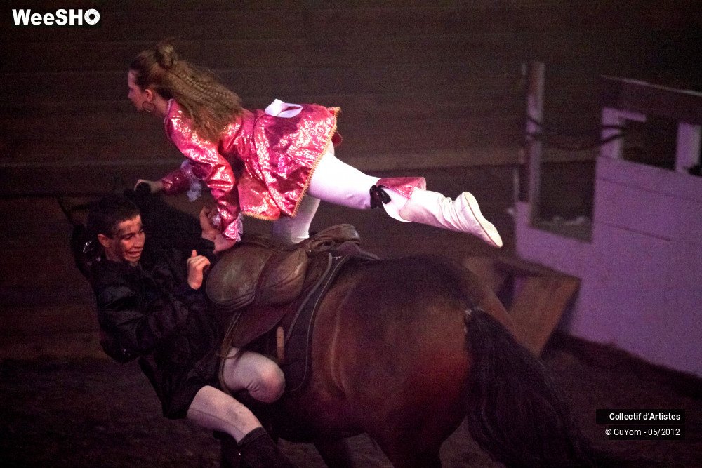 11/49 photos du spectacle Spectacle Equestre 2 Juniors