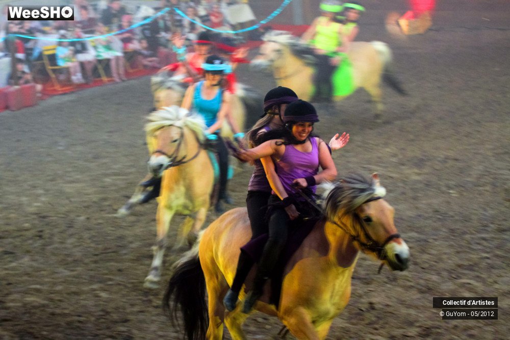 12/49 photos du spectacle Spectacle Equestre 2 Juniors