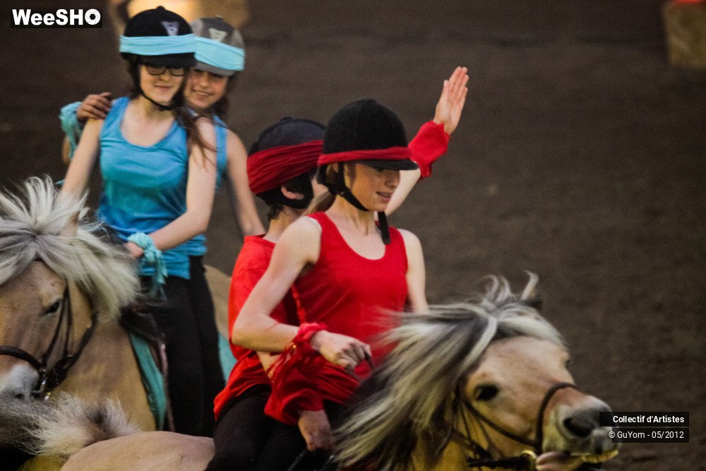 14/49 photos du spectacle Spectacle Equestre 2 Juniors