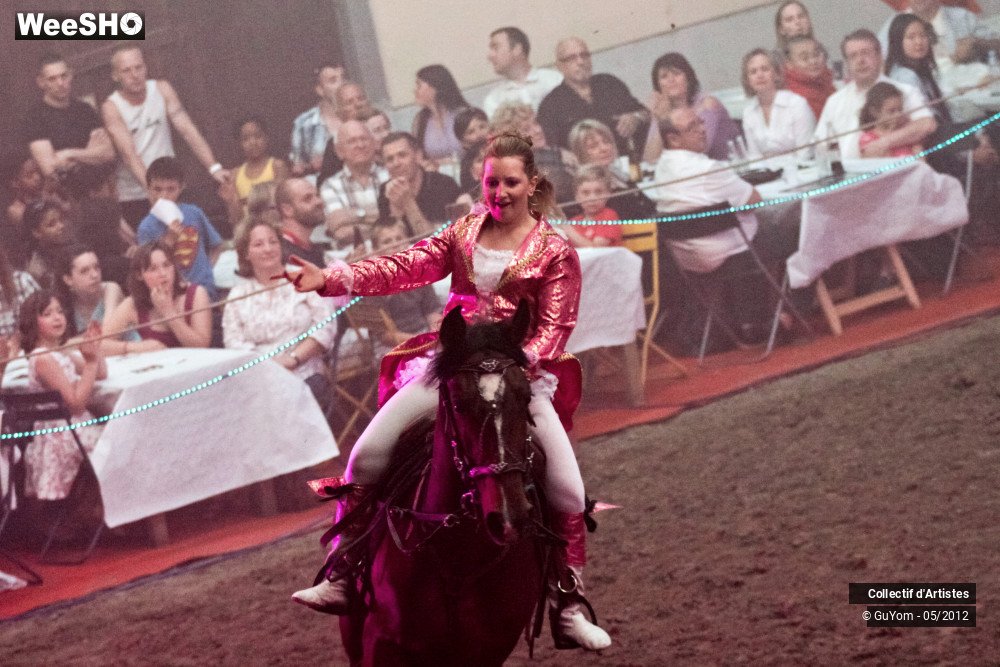15/49 photos du spectacle Spectacle Equestre 2 Juniors