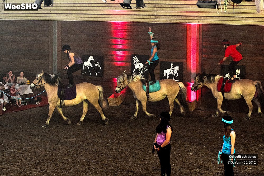 16/49 photos du spectacle Spectacle Equestre 2 Juniors
