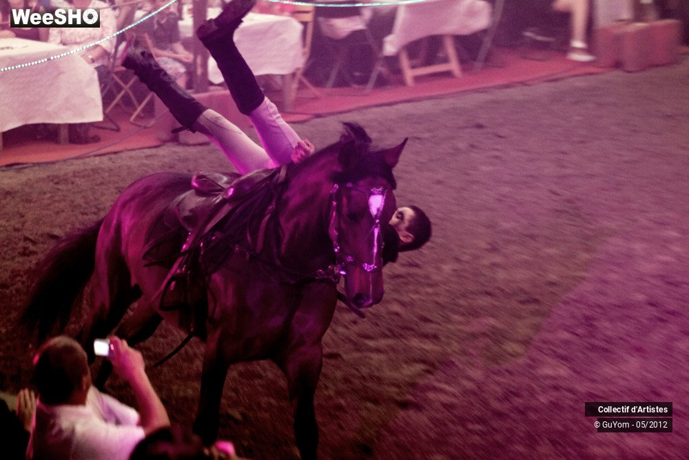 17/49 photos du spectacle Spectacle Equestre 2 Juniors