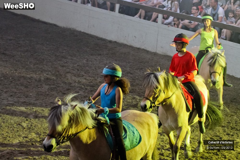 18/49 photos du spectacle Spectacle Equestre 2 Juniors