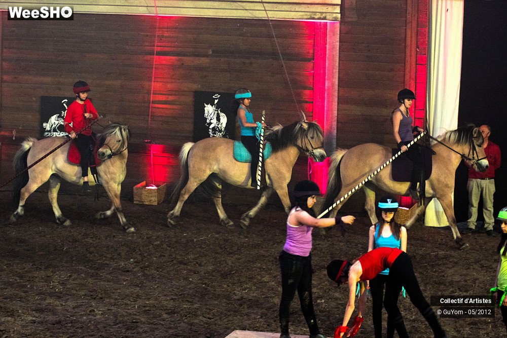 19/49 photos du spectacle Spectacle Equestre 2 Juniors