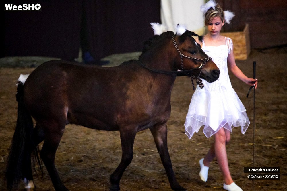 21/49 photos du spectacle Spectacle Equestre 2 Juniors
