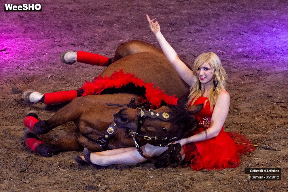 22/49 photos du spectacle Spectacle Equestre 2 Juniors