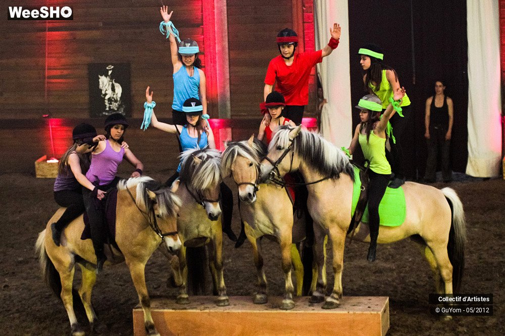 23/49 photos du spectacle Spectacle Equestre 2 Juniors
