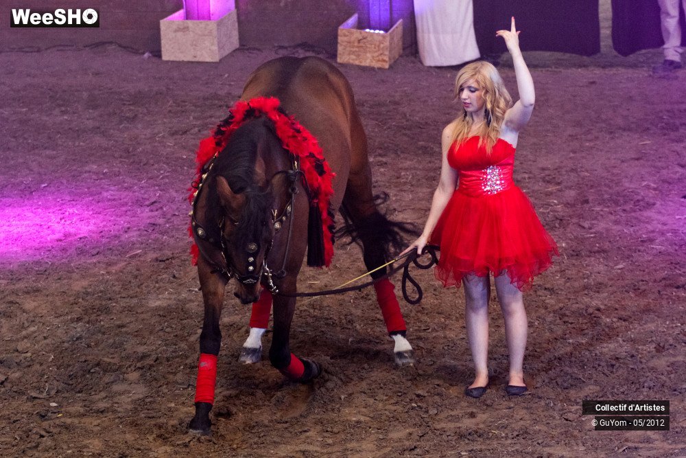 25/49 photos du spectacle Spectacle Equestre 2 Juniors