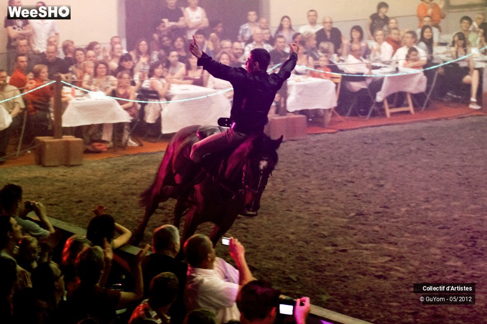 26/49 photos du spectacle Spectacle Equestre 2 Juniors