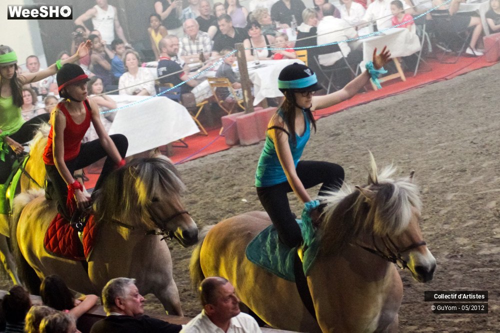 31/49 photos du spectacle Spectacle Equestre 2 Juniors