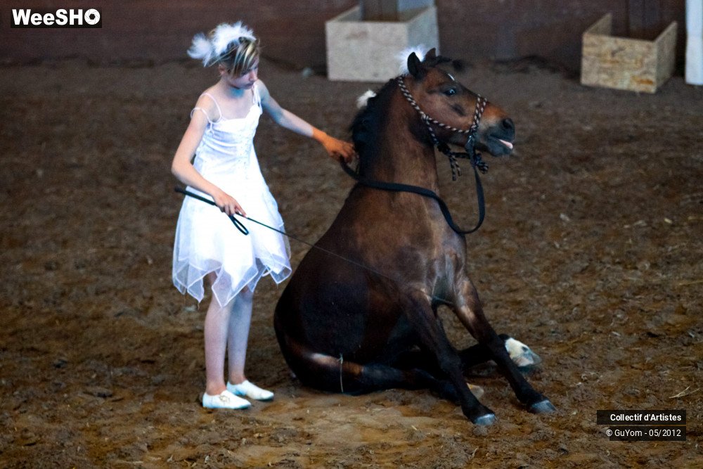 33/49 photos du spectacle Spectacle Equestre 2 Juniors